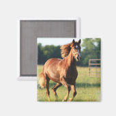 Kastanje galopperen paard magneet (Voorkant / Achterkant)