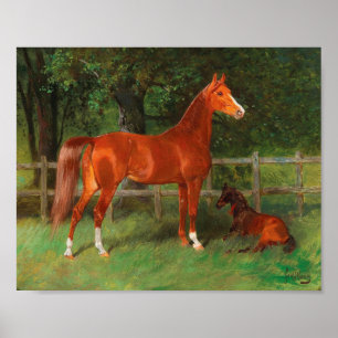 Kastanje met veulen in de wei Hans Haag Poster