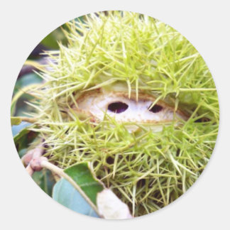 kastanje ronde sticker