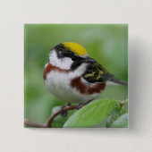 kastanjebruine Button (Voorkant)