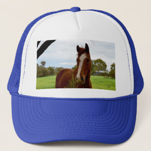 Kastanjebruine Paard Snuffelt Aan Een Banksia Boom Trucker Pet