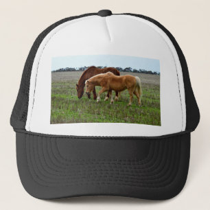 Kastanjemare en palomino veulen, trucker pet