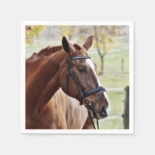 Kastanjepaarden met Blaze, Bridle, in de pasture Servetten