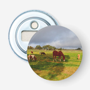 kastanjepaarden met Shetlands, Button Flesopener