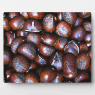 Kastanjes Fotoplaat