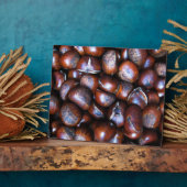 Kastanjes Fotoplaat (Zijkant)