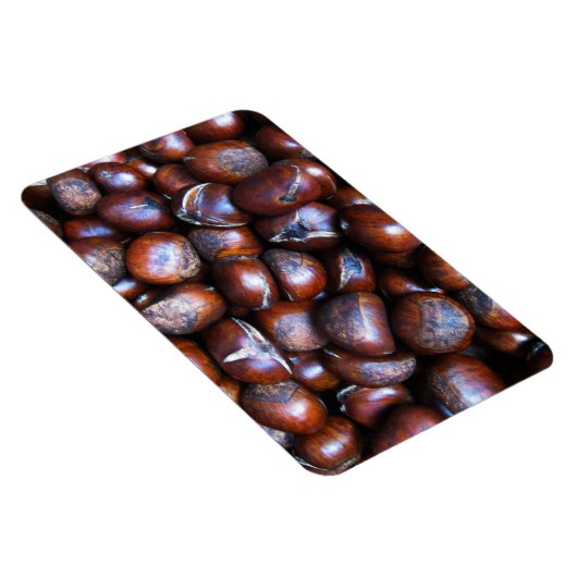 Kastanjes Magneet (Rechterzijde)