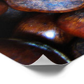 Kastanjes Poster (Hoek)