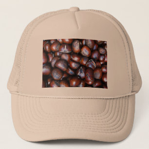 Kastanjes Trucker Pet