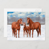 Kastanjesorrel kwart paard in sneeuw briefkaart (Voorkant / Achterkant)