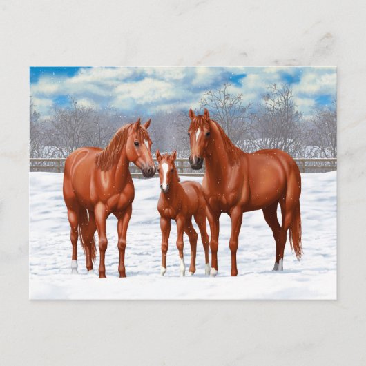 Kastanjesorrel kwart paard in sneeuw briefkaart (Voorkant)