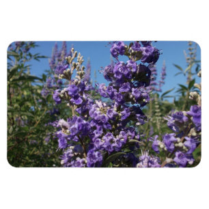 Kastboom Purple Flowers Magneet
