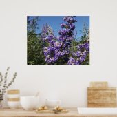 Kastboom Purple Flowers Poster (Keuken)