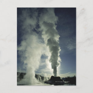 Kasteel Geyser, Yellowstone National Park Briefkaart