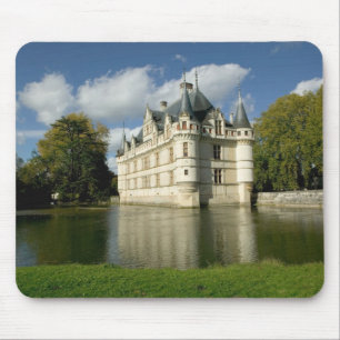 Kasteel van Azay-le-Rideau, Indre-et-Loire, 2 Muismat