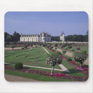Kasteel van Chenonceau, Loire Vallei, Muismat