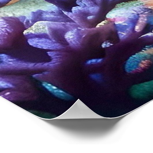 Kasteel van het Onderwaterrijk Poster (Hoek)