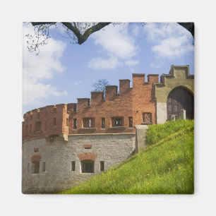 Kasteel Wawel, Krakau, Polen Magneet