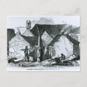 Kastekorten van de fazanie in het westen van Ierla Briefkaart