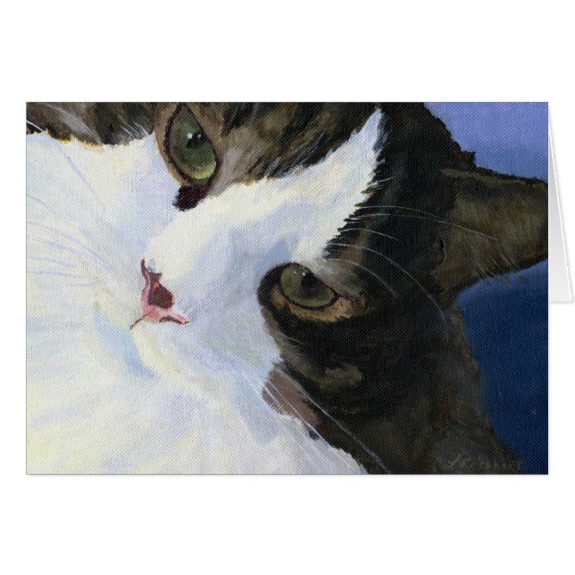  Kat (Voorkant Horizontaal)