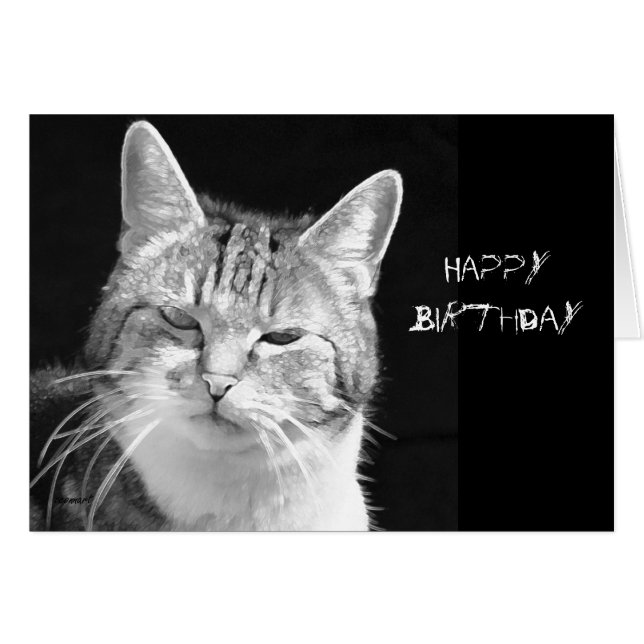 kat (Voorkant Horizontaal)