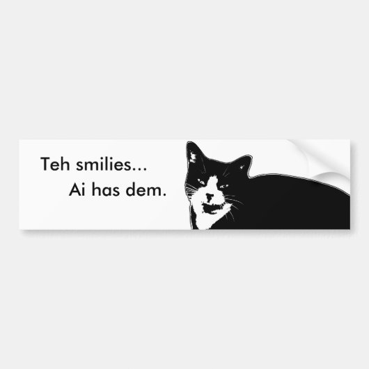 Kat2 Bumpersticker (Voorkant)