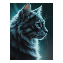 Kat -03
