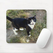 Kat 10, Muismat (Met muis)