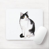 Kat 12, Muismat (Met muis)