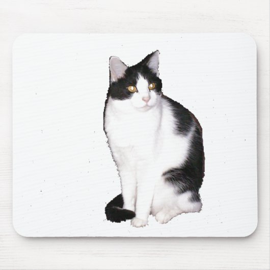 Kat 12, Muismat (Voorkant)
