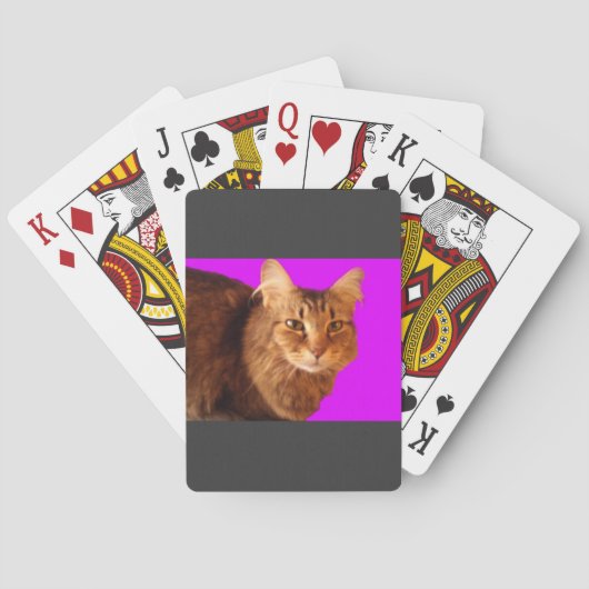 Kat 14 speelkaarten (Achterkant)