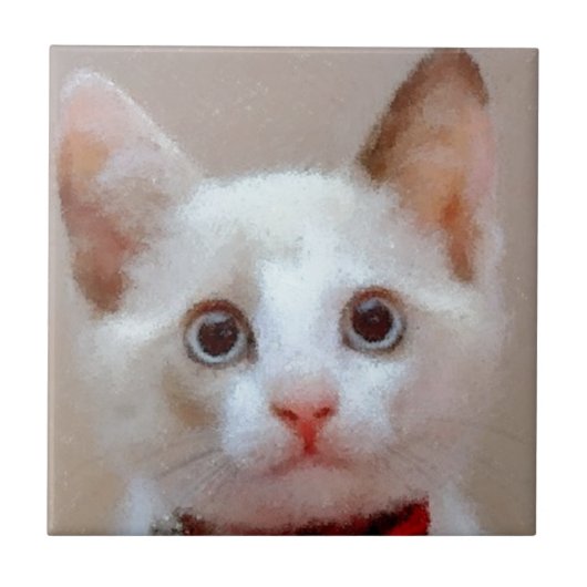 kat 3 tegeltje (Voorkant)