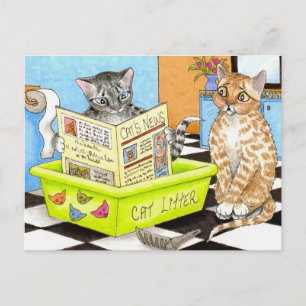 kat 464 briefkaart