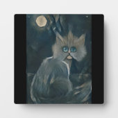 Kat 5 - Koude nacht Fotoplaat (Voorkant)