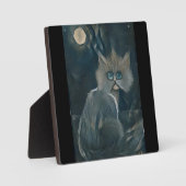 Kat 5 - Koude nacht Fotoplaat (Voorkant)