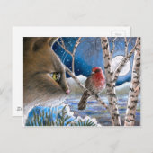 Kat 600 vogel briefkaart (Voorkant / Achterkant)