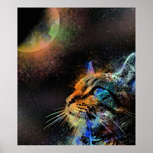 Kat 624 poster (Voorkant)