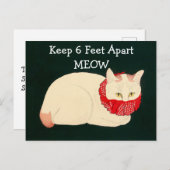 Kat 6 feet extra briefkaart (Voorkant / Achterkant)