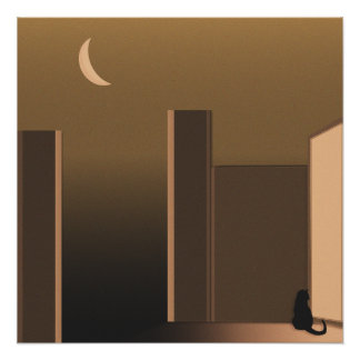 Kat aan de deur perfect poster