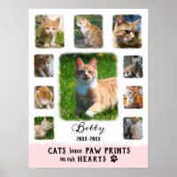 Kat Aangepaste foto Collage Faded Borden Wit Roze