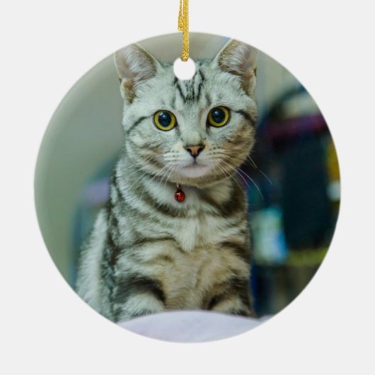 Kat Aangepaste kerstkeramische versiering Keramisch Ornament (Achterkant)