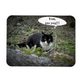 Kat aangepaste tekst Foto Magneet (Horizontaal)