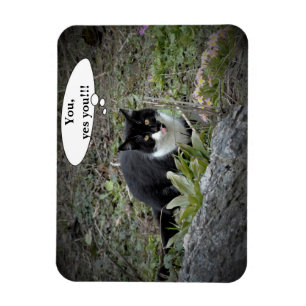 Kat aangepaste tekst Foto Magneet