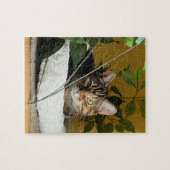 kat achter bladeren op plank, puzzels (Horizontaal)