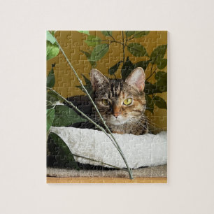 kat achter bladeren op plank, puzzels