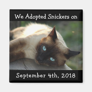 Kat Adoption Personalized Reminder Magnet Magneet