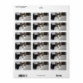 Kat Adres Label (Full Sheet)