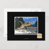 Kat afbeelding briefkaart (Voorkant / Achterkant)