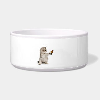 Kat-afbeelding voor groots- en voetgangerswerk voerbakje