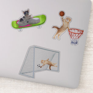 Kat-afspeelFootball Sticker